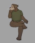 anthro athletic athletic_anthro athletic_male biped black_eyes brown_body brown_fur clothing fur green_clothing green_shirt green_topwear head_on_hand looking_at_viewer male red_sclera shirt solo topwear fioobsie ganii_(character) binturong mammal viverrid 2024 hi_res