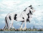 aircraft airliner airplane ambiguous_gender apartment_building building city cloud equine_tail feathering feral fur landscape_dwarfing long_mane long_tail macro markings pink_snout sea seaside skyscraper solo spots spotted_body spotted_fur tail vehicle water fihell equid equine gypsy_vanner horse mammal hi_res