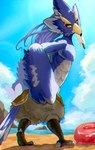 abs anthro athletic athletic_anthro athletic_male beak blue_body blue_feathers eyebrows feathers green_eyes hair long_hair looking_back male nude pecs solo thick_eyebrows winged_arms wings chikichikitaron breath_of_the_wild nintendo the_legend_of_zelda revali avian rito hi_res