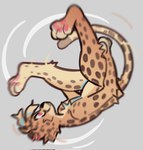 anthro backflip brown_body brown_fur ear_piercing fur male piercing pink_eyes simple_background solo spots loppifi wren_(loppifi) cheetah felid feline mammal hi_res