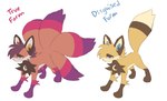 ambiguous_gender brown_body brown_fur dipstick_tail feral fur hair markings orange_body orange_fur solo tail tail_markings yellow_body yellow_fur conditional_dnp labbit_(artist) yuki_(labbit) canid canine fox mammal hi_res model_sheet