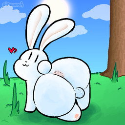 :3 anus backsack balls big_butt butt feral fur genitals grass heart_symbol looking_at_viewer looking_back male outside paws plant quadruped rear_view solo text tree white_body white_fur pincoosh terraria lagomorph leporid mammal rabbit 1:1 artist_name digital_media_(artwork) hi_res