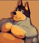 anthro armpit_hair black_body black_fur blue_body blue_fur body_hair chest_hair fur male muscular muscular_male nipples pecs shirtless smile solo yellow_body yellow_fur artxtcy bluey_(series) bandit_heeler australian_cattle_dog canid canine canis cattledog domestic_dog herding_dog mammal pastoral_dog bust_portrait hi_res portrait