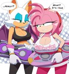 anthro big_breasts bra breasts cleavage clothed clothing countershade_torso countershading duo extreme_gear female gloves green_eyes handwear huge_breasts sports_bra text underwear kojiro-brushard sega sonic_the_hedgehog_(series) amy_rose rouge_the_bat bat eulipotyphlan hedgehog mammal 2022 english_text hi_res