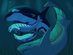 animal_genitalia animal_penis animal_pussy bubble cetacean_genitalia cetacean_penis cetacean_pussy claspers detailed_background dorsal_fin erection female female_feral female_penetrated feral feral_on_feral feral_penetrated feral_penetrating feral_penetrating_feral fin flippers genital_slit genitals group larger_male male male/female male_feral male_penetrating male_penetrating_female mammary_slits open_mouth penetration penile penile_penetration penis penis_in_pussy pussy sex sharp_teeth size_difference smaller_female tail tail_fin tapering_penis teeth underwater underwater_sex vaginal vaginal_penetration water shinigamisquirrel kamuri leo_(sciguy429) nero_(mrmephit) severin_(rokanoss) cetacean dolphin fish mammal marine oceanic_dolphin orca shark toothed_whale 2025 hi_res