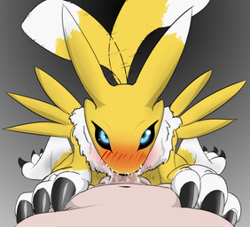 ambiguous_gender anthro balls blush blush_lines bodily_fluids claws cum duo ears_up fellatio first_person_view fluffy genital_fluids genitals glowing glowing_eyes kneeling_oral_position looking_at_viewer looking_up_at_partner male messy offscreen_male onomatopoeia oral paws penile penis precum saliva sex sound_effects tail tail_motion tailwag text wet wet_penis niannn bandai_namco digimon digimon_(species) human mammal renamon absurd_res hi_res story story_in_description