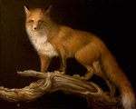 ambiguous_gender branch brown_eyes feral fur looking_at_viewer orange_body orange_fur realistic solo ivan-kovalevskiy canid canine fox mammal red_fox true_fox oil_painting_(artwork) painting_(artwork) traditional_media_(artwork) traditional_painting_(artwork)