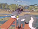 bench blush bodily_fluids collar day detailed_background eyes_closed fur grey_body grey_fur humor lying male outside park question sitting solo standing summer sweat text tongue tongue_out warm white_body white_fur senz sean_(senz) iradeon 2023 absurd_res english_text hi_res url