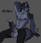 anthro balls big_balls big_penis erection genitals male penis pose sitting solo throbbing throbbing_penis felixfellow canid canine canis mammal wolf hi_res pinup