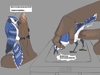 ambiguous_gender ambiguous_on_human ambiguous_penetrated animal_genitalia avian_butt avian_feet back_grab balls bestiality biped bipedal_feral black_body black_feathers blue_body blue_feathers blush bodily_fluids brown_body brown_skin cloaca cloaca_juice cloacal cloacal_penetration cum dialogue duo erection extreme_size_difference eyes_closed feathered_wings feathers feet feral feral_penetrated genital_fluids genitals half-closed_eyes hand_on_back huge_penetration human_on_feral human_penetrating human_penetrating_feral humanoid_genitalia humanoid_penis impregnation_request interspecies it'll_never_fit larger_human larger_male living_condom male male/ambiguous male_humanoid male_on_feral male_penetrating male_penetrating_ambiguous narrowed_eyes open_mouth penetration penile penile_penetration penis ridiculous_fit sex size_difference smaller_ambiguous smaller_feral smaller_penetrated sound_effects submissive submissive_feral talons text tight_fit toes white_body white_feathers wings backlash91 conditional_dnp avian bird blue_jay corvid human humanoid jay_(bird) mammal new_world_jay oscine passerine 4:3 absurd_res digital_media_(artwork) english_text hi_res sequence female_(lore)
