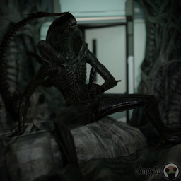 black_body hive male masturbation not_furry nude open_mouth penile penile_masturbation sitting solo tail angysu alien_(franchise) alien alien_humanoid humanoid xenomorph 1:1 3d_(artwork) 3d_animation animated digital_media_(artwork) hi_res high_framerate loop no_sound short_playtime video