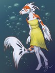 anthro barbel_(anatomy) bare_shoulders barefoot black_markings bubble clothed clothing dress feet female fingers humanoid_hands looking_at_another markings open_mouth orange_eyes orange_markings plantigrade solo underwater water water_background white_body yellow_clothing yellow_dress hibou-wu calico_koi fish marine 2016 3:4 digital_media_(artwork) signature