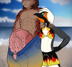 anthro balls beach big_balls big_penis bikini bikini_top bulge clothing duo female genitals huge_balls huge_penis hyper hyper_balls hyper_genitalia hyper_penis male penile_spines penis swimming_trunks swimwear two-piece_swimsuit redtint scott_(redtint) avian bird felid feline lagomorph leporid mammal penguin hi_res