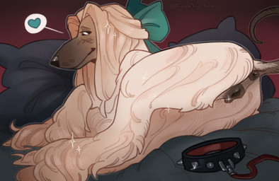 accessory animal_genitalia animal_vulva anus bed blush blush_lines bow_ribbon butt canine_genitalia canine_vulva collar female feral fur furniture genitals glistening glistening_body green_bow green_bow_ribbon hair hair_accessory hair_bow hair_ribbon heart_symbol leash leashed_collar long_fur long_hair looking_back pillow presenting presenting_anus presenting_hindquarters presenting_vulva ribbons seductive smile solo spiked_collar spikes tail vulva white_body white_fur white_hair fernsigillum afghan_hound canid canine canis domestic_dog hunting_dog mammal sighthound digital_drawing_(artwork) digital_media_(artwork) hi_res