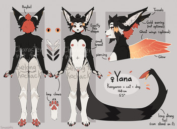 4_toes 5_fingers anthro areola biped black_body black_fur black_hair black_tail feet female fingers front_view fur hair navel nipples nude nude_anthro nude_female orange_eyes rear_view solo standing tail text toes spuydjeks yana_(kochack) canid canine canis domestic_cat domestic_dog felid feline felis hybrid kangaroo macropod mammal marsupial 2025 digital_drawing_(artwork) digital_media_(artwork) english_text hi_res model_sheet