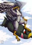 amber_eyes anthro beak bomb claws clothing cloud explosives feathers feet female gesture grey_body grey_feathers nipple_tape pasties pose salute sky solo spread_wings talons tape thong toes underwear white_body white_feathers wings blitzy-arts avian bird falcon falconid peregrine_falcon hi_res pinup