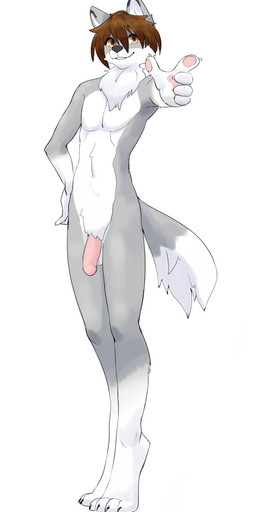 anthro balls brown_eyes brown_hair claws digitigrade fur genitals grey_body grey_fur hair humanoid_genitalia humanoid_penis male neck_tuft nude nude_anthro nude_male pawpads penis simple_background solo tail tuft white_body white_fur wolf_tail saikoart brave_wolf_(collector_canine) canid canine canis mammal wolf digital_media_(artwork) hi_res