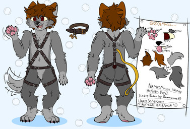anthro brown_hair collar fur gesture grey_body grey_fur hair harness leash male pawpads pink_pawpads pink_tongue red_eyes smile solo standing tail tail_motion tailwag text tongue waving 2001maxx conditional_dnp maxx_(2001maxx) canid canine canis domestic_dog husky mammal nordic_sled_dog spitz absurd_res english_text hi_res model_sheet