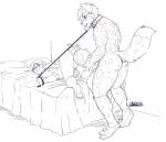 anthro ass_up balls bed big_balls big_penis collar dominant dominant_male duo erection furniture genitals hot_dogging huge_balls huge_penis human_on_anthro humanoid_genitalia humanoid_penis hyper hyper_balls hyper_genitalia hyper_penis interspecies leash leashed_top male male/male nude penis power_bottom sex size_difference small_dom_big_sub smile submissive submissive_male tail tongue tongue_out vein veiny_penis daigo ian_(twile) kraven_lupei canid canine human mammal monochrome