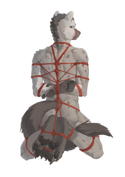 anthro athletic athletic_anthro athletic_male bdsm bondage bound fur hair looking_at_viewer looking_back looking_back_at_viewer male markings multicolored_body multicolored_fur nipples pawpads restraints rope rope_bondage rope_harness simple_background solo spots spotted_body spotted_fur spreading tail two_tone_body two_tone_fur white_background clowd_fc arknights hypergryph studio_montagne spot_(arknights) hyena mammal spotted_hyena 2026 hi_res