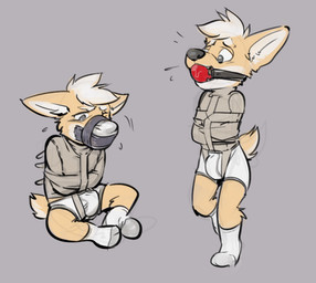 anthro ball_gag bdsm black_nose bound briefs bulge clothed clothing footwear fur gag gagged grey_background hair legwear male multicolored_body multicolored_fur multiple_poses muzzle_(object) muzzled pose restraints simple_background socks solo straitjacket submissive submissive_male tan_body tan_fur tape tape_gag tape_muzzle two_tone_body two_tone_fur underwear white_clothing white_footwear white_legwear white_socks white_underwear banderi avery_(vir-no-vigoratus) canid canine canis domestic_dog herding_dog mammal pastoral_dog welsh_corgi 2018 digital_drawing_(artwork) digital_media_(artwork)
