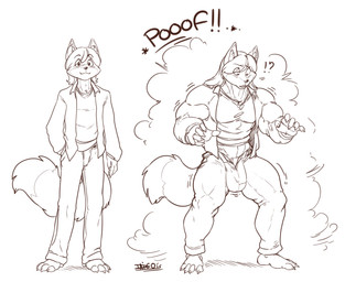 5_fingers anthro biped bottomwear bulge claws clothed clothing eyebrow_through_hair eyebrows fingers fur growth growth_lines hair interrobang male muscle_growth muscular muscular_anthro muscular_male pants smile solo tail transformation translucent translucent_hair wardrobe_malfunction daigo jon_helfrich canid canine fox mammal hi_res monochrome