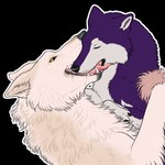 ambiguous_gender bodily_fluids drooling duo feral french_kissing fur kissing lying multicolored_body purple_body purple_fur saliva tan_body tan_fur two_tone_body yellow_eyes paper-wings canid canine canis domestic_dog husky mammal nordic_sled_dog spitz wolf 1:1 alpha_channel