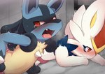 anthro blush bodily_fluids cinderace duo generation_4_pokemon generation_8_pokemon hi_res lagomorph lucario male male/male mammal nintendo open_mouth pokemon pokemon_(species) sex stuck tears through_wall yousan