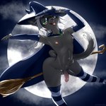 anthro black_body black_fur clothing femboy flying_broom foreskin fur genitals green_eyes hair hat headgear headwear long_socks magic_user male moon night nipples nude penis pink_nipples pose solo white_hair witch witch_hat notafurrytho domestic_cat felid feline felis mammal 1:1 hi_res