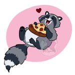 ambiguous_gender anus feral food fur grey_body grey_fur heart_symbol holding_food holding_object holding_pizza lying markings on_back open_mouth open_smile pawpads pizza raccoon_tail ring_(marking) ringed_tail round_body simple_background smile solo striped_markings striped_tail stripes tail tail_markings tongue x_anus misspooks mammal procyonid raccoon