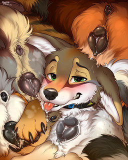 animal_genitalia animal_vulva anus black_nose blush blush_lines bodily_fluids butt butt_focus canine_genitalia canine_vulva cheek_tuft claws collar cum cum_drip cum_in_ass cum_in_vagina cum_inside cum_on_face cumshot cunnilingus dripping ejaculation faceless_character faceless_female faceless_feral facial_tuft female female_feral feral feral_penetrated fluffy fluffy_ears fluffy_tail fur genital_fluids genitals group group_sex licking male male/female male_feral multicolored_body multicolored_fur neck_tuft nude oral penetration pointy_ears prick_ears raised_hips saliva saliva_on_face saliva_on_tongue saliva_string sex snout surrounded surrounded_by_butts surrounded_by_females tail tongue tongue_out tuft vaginal vulva wide_hips mohitopaw canid canine canis coyote mammal 2026 digital_media_(artwork) hi_res signature