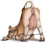 anatomically_correct animal_genitalia animal_pussy anus ass_up bdsm big_teats big_udders blindfold bodily_fluids bondage bound bovine_genitalia bovine_pussy butt clitoris clitoris_piercing cloven_hooves dewclaw_hooves downward_dog drooling ear_piercing ear_tag facial_piercing female feral feral_bondage gag gagged genital_piercing genitals harness harness_gag harness_ring_gag hooves horn muzzle_(object) nose_piercing piercing presenting presenting_hindquarters pussy pussy_piercing raised_tail restraints ring_gag saliva simple_background solo spread_legs spreader_bar spreading submissive submissive_female submissive_feral tail tail_anus tail_bondage tail_tied teats tongue tongue_out udders veiny_udders white_background lizet bovid bovine cattle mammal 2020