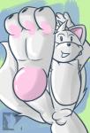 3_toes anus balls barefoot feet foot_focus genitals male penis smile soles solo toes white_balls white_penis secretkitsune secretkitsune_(character) canid canine fox mammal 2011 signature