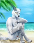 animal_genitalia animal_penis anthro balls beach canine_genitalia canine_penis fur genitals male nude palm_tree paws penis plant sea seaside smile solo tree water dimonis aktis arctic_fox canid canine fox mammal true_fox 2019 digital_media_(artwork) hi_res watermark