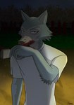 anthro blood bodily_fluids male slim solo hamapup beastars legoshi_(beastars) canid canine canis humanoid mammal wolf absurd_res hi_res