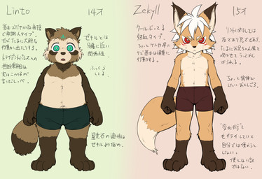 adolescent ambiguous_gender anthro clothed clothing fluffy fluffy_tail fur green_eyes hair kemono male tail text underwear underwear_only white_hair young young_anthro tsuchinoko_(artist) pixiv_fantasia linto_(tsuchinoko) zekyll_(tsuchinoko) canid canine fox mammal raccoon_dog tanuki hi_res japanese_text model_sheet translation_request