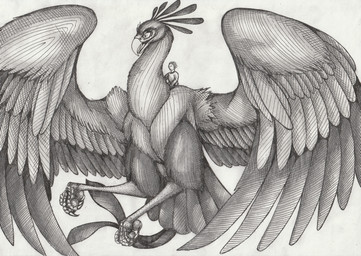 4_toes ambiguous_gender anisodactyl beak carrying_another duo extreme_size_difference feathered_wings feathers feet feral fluffy flying front_view happy larger_feral legs_up macro open_beak open_mouth riding riding_on_back size_difference smaller_human spread_wings tail tail_feathers toes wings 01phoenix01 accipitriform avian bird human mammal secretary_bird 2020 absurd_res hi_res monochrome traditional_media_(artwork)