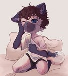 anthro black_bottomwear black_clothing black_shorts blue_eyes bottomwear brown_hair clothing hair kneeling looking_away male pillow shirt shorts solo tired topwear white_clothing white_shirt white_topwear wiping_face young young_anthro young_male ha-ha_(artist) valery_funika domestic_cat felid feline felis mammal siamese absurd_res hi_res