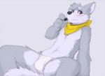 anthro asian_clothing biped blue_eyes blush bulge clothing east_asian_clothing fundoshi fur grey_body grey_fur japanese_clothing kerchief male shy simple_background sitting solo spread_legs spreading underwear white_background seth-iova housepets! fox_(housepets!) canid canine canis domestic_dog mammal digital_media_(artwork)