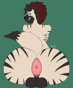 anthro anus backsack balls big_anus big_balls big_butt black_hair bubble_butt butt fur genitals hair huge_anus huge_balls huge_butt hyper hyper_anus looking_at_viewer looking_back looking_back_at_viewer male puffy_anus red_hair smug smug_face smug_grin solo striped_body striped_fur stripes white_body white_fur jadetanuki koda_(kodakoba) hyena mammal striped_hyena hi_res