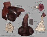 anthro balls big_balls big_penis bodily_fluids cum cutaway fertility_analysis genital_fluids genitals giant_sperm huge_balls huge_penis hyper hyper_balls hyper_genitalia hyper_penis male musk musk_clouds ovum penis solid_cum solo text unusual_bodily_fluids unusual_cum unusual_genital_fluids vein veiny_penis mrf0zzy lucien_(mrf0zzy) canid canine fox mammal 5:4 english_text hi_res