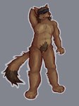andromorph anthro anthrofied armpit_hair belly big_clitoris body_hair brown_body brown_fur brown_hair chest_hair claws clitoris exposed_armpit facial_hair front_view fur genitals hair hand_behind_head happy_trail intersex kerchief leg_hair mastectomy_scar mullet muscular mustache nipples nude pink_nipples pink_vulva plantigrade pubes scar slightly_chubby solo standing stubke teeth vulva chemicalcreature konami metal_gear solid_snake canid canine canis coyote mammal 2025 colored digital_drawing_(artwork) digital_media_(artwork) hi_res shaded signature watermark trans_(lore) trans_man_(lore)