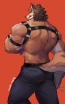 anthro belt biped black_nose blue_bottomwear blue_clothing blue_eyes blue_pants bottomwear brown_body brown_fur brown_hair butt clothed clothing fur hair harness licking licking_lips male muscular muscular_anthro muscular_male pants rear_view simple_background solo standing tongue tongue_out topless white_body white_fur luodejun canid canine canis domestic_dog mammal 2022 absurd_res digital_drawing_(artwork) digital_media_(artwork) hi_res