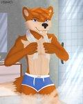 anthro bathroom blue_clothing blue_eyes blue_underwear boxer_briefs bulge clothed clothing fur male shower solo towel towel_around_neck underwear lubanart galener canid canine canis mammal 2022 digital_media_(artwork) hi_res