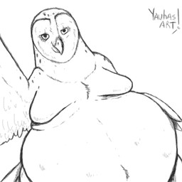 anthro beak belly big_belly feathers looking_at_viewer male obese obese_male overweight overweight_male selfie simple_background solo white_background wings yauhasart avian bird owl 1:1 2025 hi_res monochrome sketch watermark