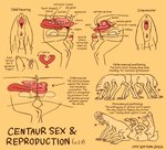 all_sixes anatomical_diagram anatomy anus ass_to_ass big_clitoris butt butt_shot chode clitoris cross_section erection eye_contact female female/female genitals group heart_symbol hooves internal_testicles kidney looking_at_another male male/female organs ovaries penetration penis pillow pink_anus pink_clitoris pink_penis pink_pussy proboscis_(anatomy) pussy sex spinnerets tapering_penis text thick_penis tribadism trunk_(anatomy) tusks unguligrade unusual_anatomy unusual_genitalia_placement uterus vaginal vaginal_penetration jayrockin runaway_to_the_stars alien centaur_(rtts) taur 2022 english_text hi_res monochrome multiple_images restricted_palette