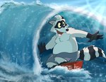 anthro belly black_nose bottomwear clothing detailed_background grey_body male moobs open_mouth outside overweight overweight_male shorts solo surfboard surfer surfing swimwear water freddy1565 mammal procyonid raccoon 2024 hi_res