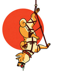 ambiguous_gender ball_gag bdsm bodily_fluids bondage bound collar drooling feral gag muzzle_(object) muzzled saliva snout solo suspension therealfirestarter canid canine canis domestic_dog mammal shiba_inu spitz 1:1 hi_res