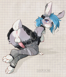 3_toes accessory all_fours anthro anus arched_back armwear backsack balls big_ears blue_hair blush bottomwear bow_ribbon breasts butt chain chest_tuft clothed clothing collar ear_piercing ear_ring erection eyeliner feet fishnet_clothing fishnet_legwear fur genitals glans grey_body grey_fur gynomorph hair hair_accessory hair_bow hair_ribbon humanoid_genitalia humanoid_penis intersex leggings legwear looking_at_viewer makeup nipples no_underwear partially_clothed penis perineum piercing pink_nipples pink_penis presenting presenting_hindquarters ribbons ring_piercing scut_tail short_tail skirt soles solo tail thick_thighs toeless_legwear toes torn_clothing torn_leggings torn_legwear tuft upskirt white_hair wide_hips waspsalad lagomorph mammal hi_res