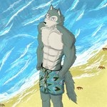 anthro beach clothing male male_anthro muscular muscular_anthro muscular_male sand solo sun swimming_trunks swimwear water wave jawad9875 beastars legoshi_(beastars) ambient_arthropod ambient_crab ambient_crustacean ambient_sealife canid canine canis mammal wolf 1:1 absurd_res hi_res